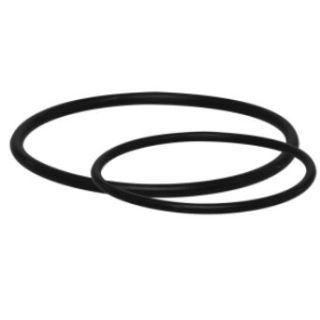 O-RING KIT FOR 2" FILTER new style